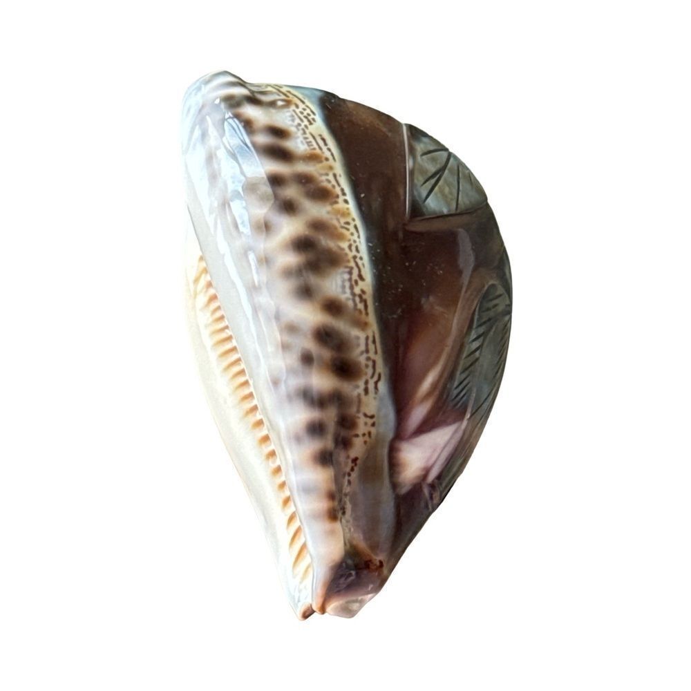 Carved Shell Flower - Picture 3 of 6
